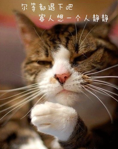 猫：尔等都退下吧，寡人想一个人静静