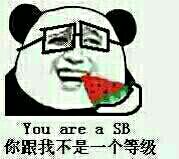 你跟我不是一个等级的 You are a SB (你是傻逼)