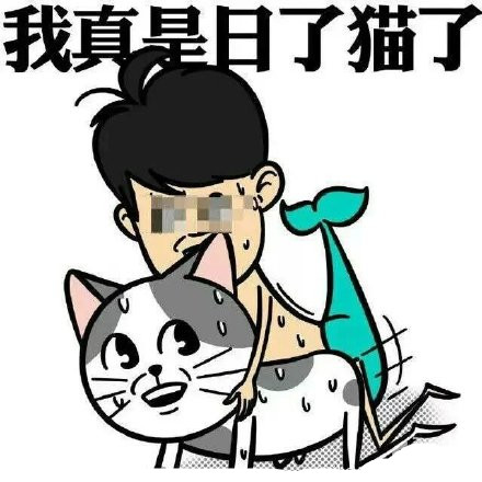 我真是日了猫、鼠、兔、猴、狗、羊、蛙、灯笼了