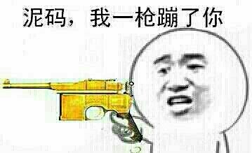 尼玛我一枪蹦了你