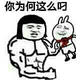 小学生你为何这么屌