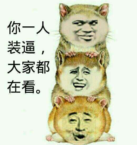 三只狗：你一人装逼，大家都在看