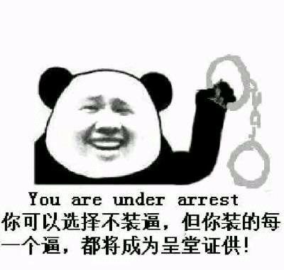 you are under arrest你可以选择不装逼 但你装的每一次逼都会成为呈堂证供