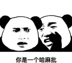 你是一个哈麻批