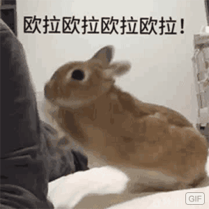 欧拉欧拉欧拉欧拉！I GIF