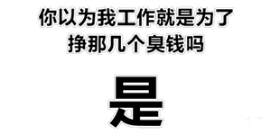 你以为我工作就是为了挣那几个臭钱吗？是