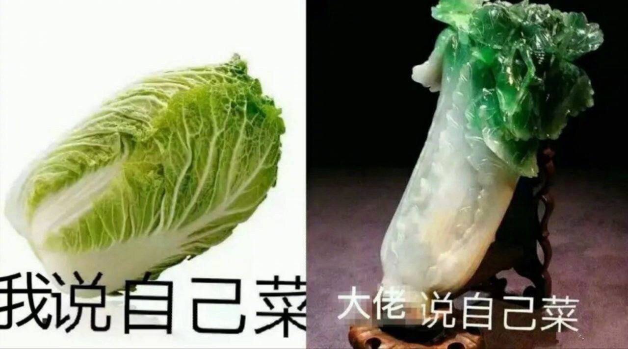 我说自己菜，大佬说自己菜