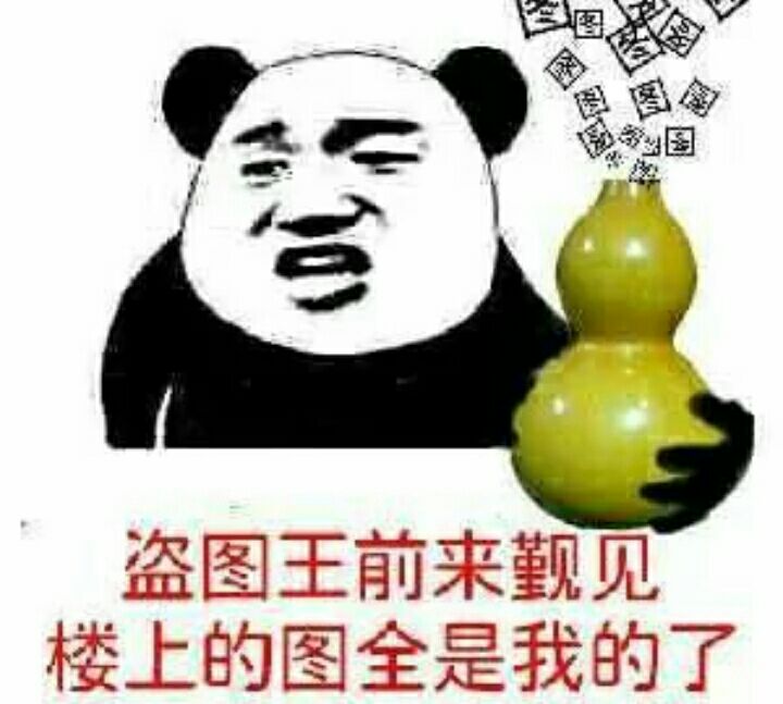 盗图王前来觐见