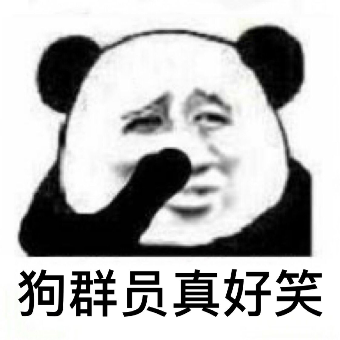 狗群员真好笑