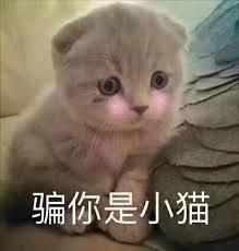 骗你是小猫