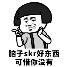 脑子skr好东西可惜你没有