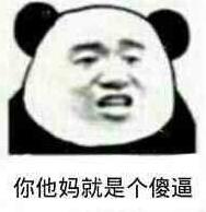 你他妈就是个傻逼