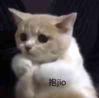 抱jio