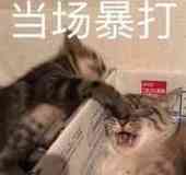 当场暴打