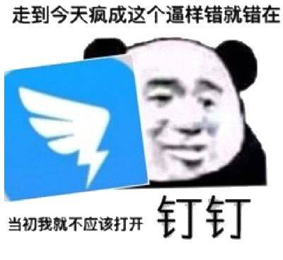 走到今天疯成这个逼样，错就错在当初我就不应该打开钉钉