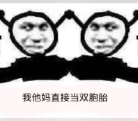 我他妈直接当双胞胎