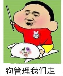 狗管理我们走