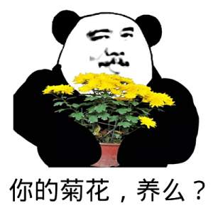 你的菊花，养么？