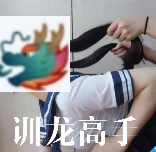 训龙高手