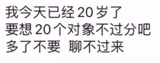 我今天已经20岁了，要想20个对象不过分吧，多了不要聊不过来