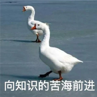 向知识的苦海前进