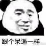 跟个呆逼一样