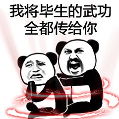 我将毕生的武功全都传给你