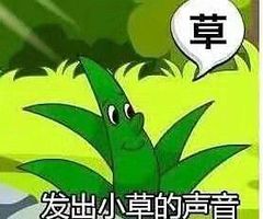 早发出小草的声音