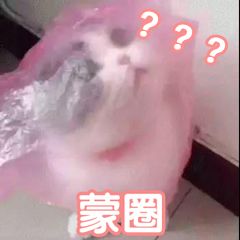 ？？？蒙圈