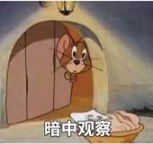 暗中观察