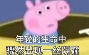 年轻的生命中骤然出现一丝阴霾