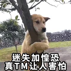 迷失加惶恐，真TM让人害怕