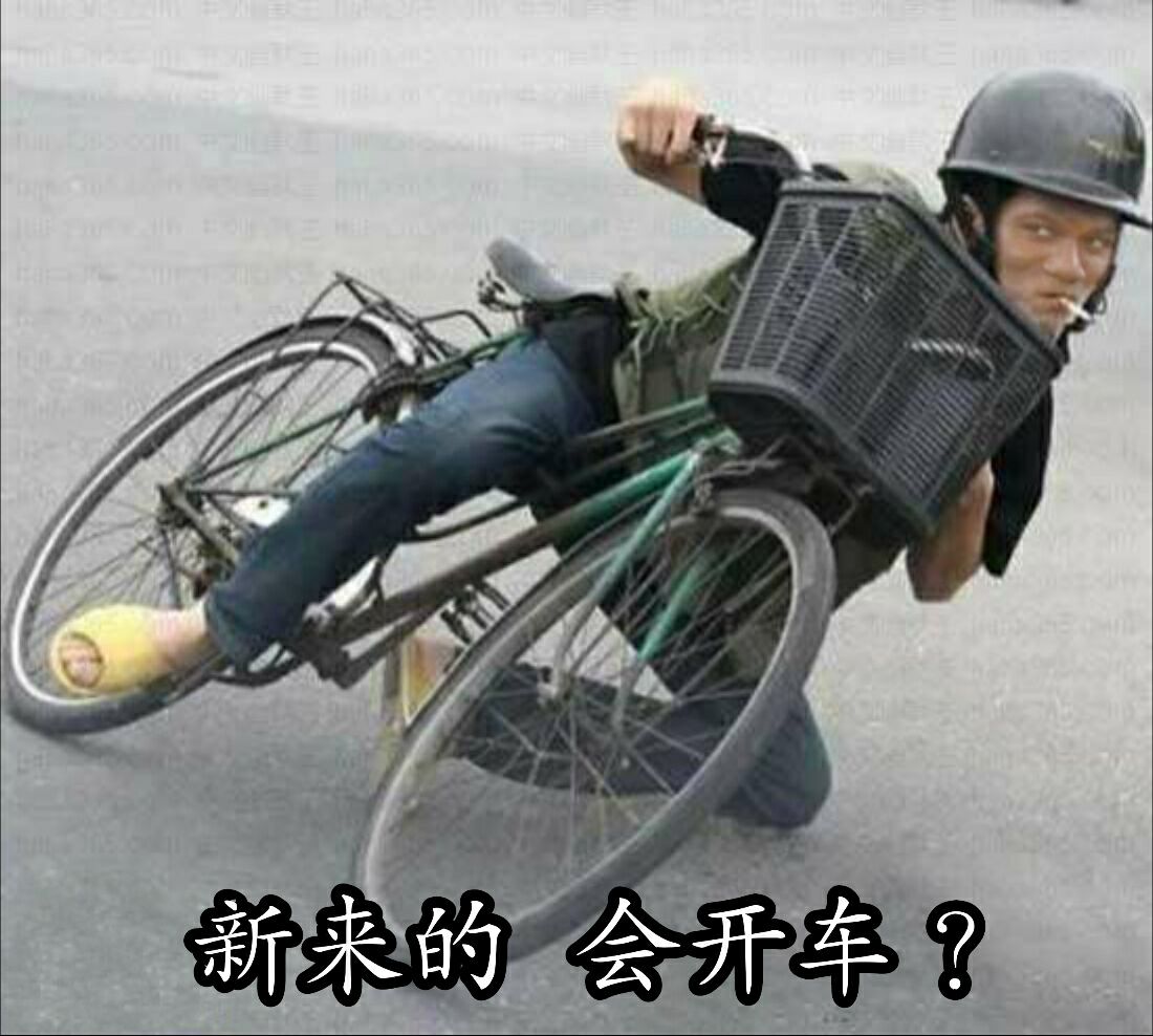 新来的，会开车？