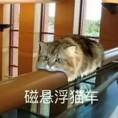 磁悬浮猫车