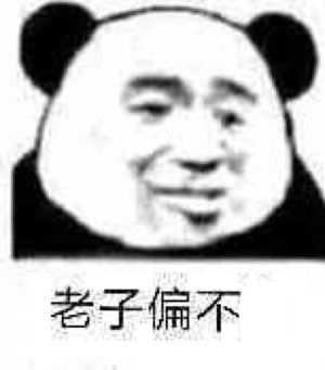 老子偏不