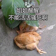 姐姐醒醒，不能活活骚死啊