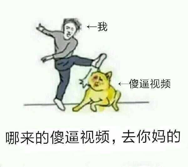 哪来的傻逼视频，去你妈的