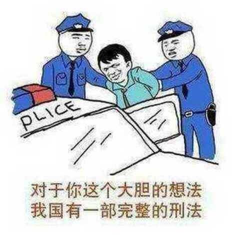 对于你这个大胆的想法，我国有一部完整的刑法