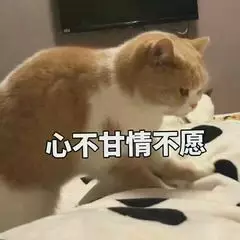 心不甘情不愿