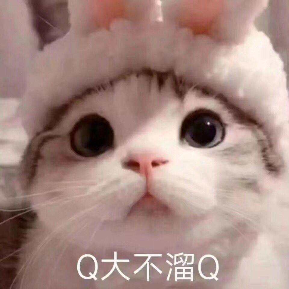 Q大不溜Q