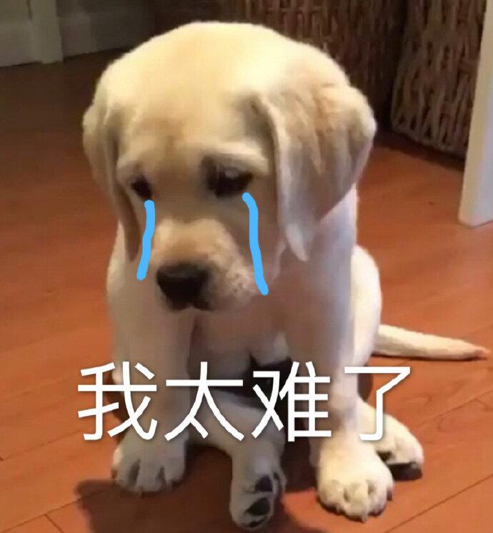 我太难了