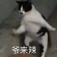 爷来辣