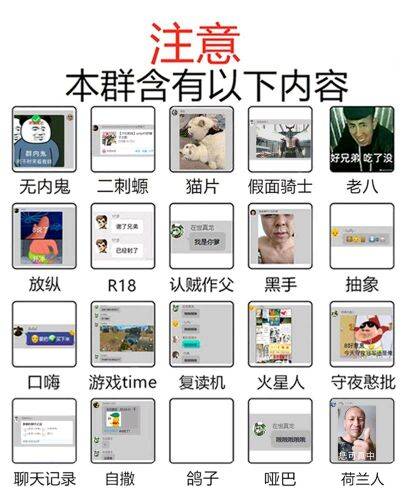 注意，本群含有以下内容