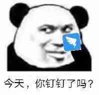 今天，你钉钉了吗？