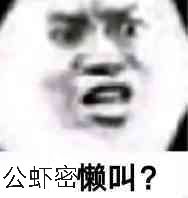 公虾密懒叫？