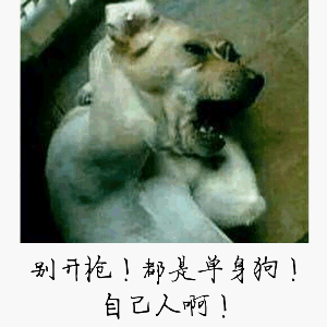 都是单身拘自己人啊！