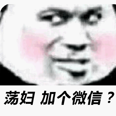 荡妇加个微信？