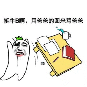 挺牛B啊，用爸爸的图来骂爸爸