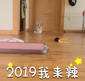 2019我来辣
