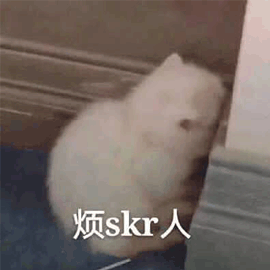 烦skr人